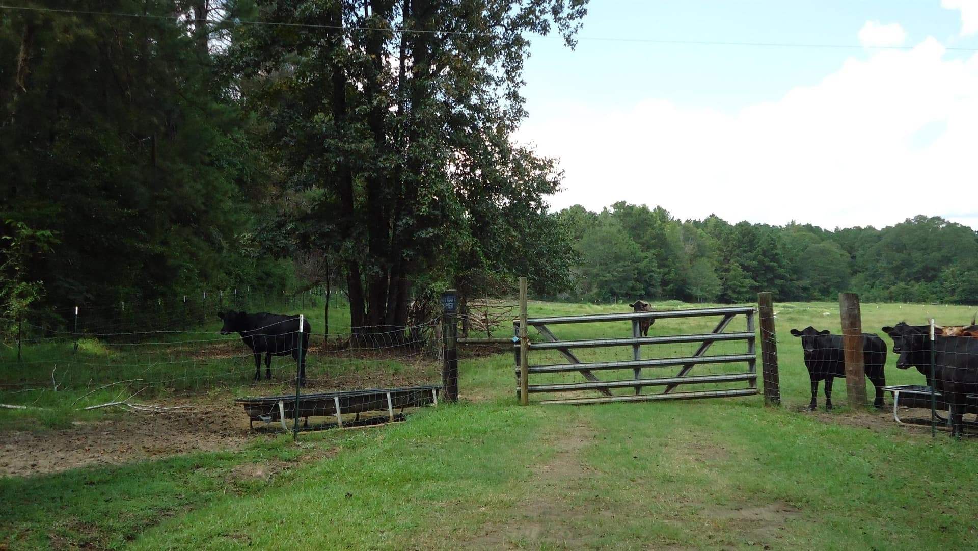 18 acres in Texas County - photo 19