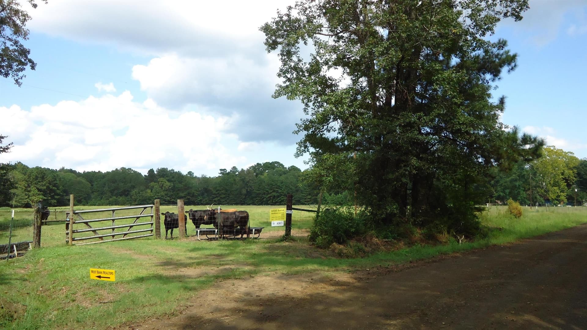 18 acres in Texas County - photo 10