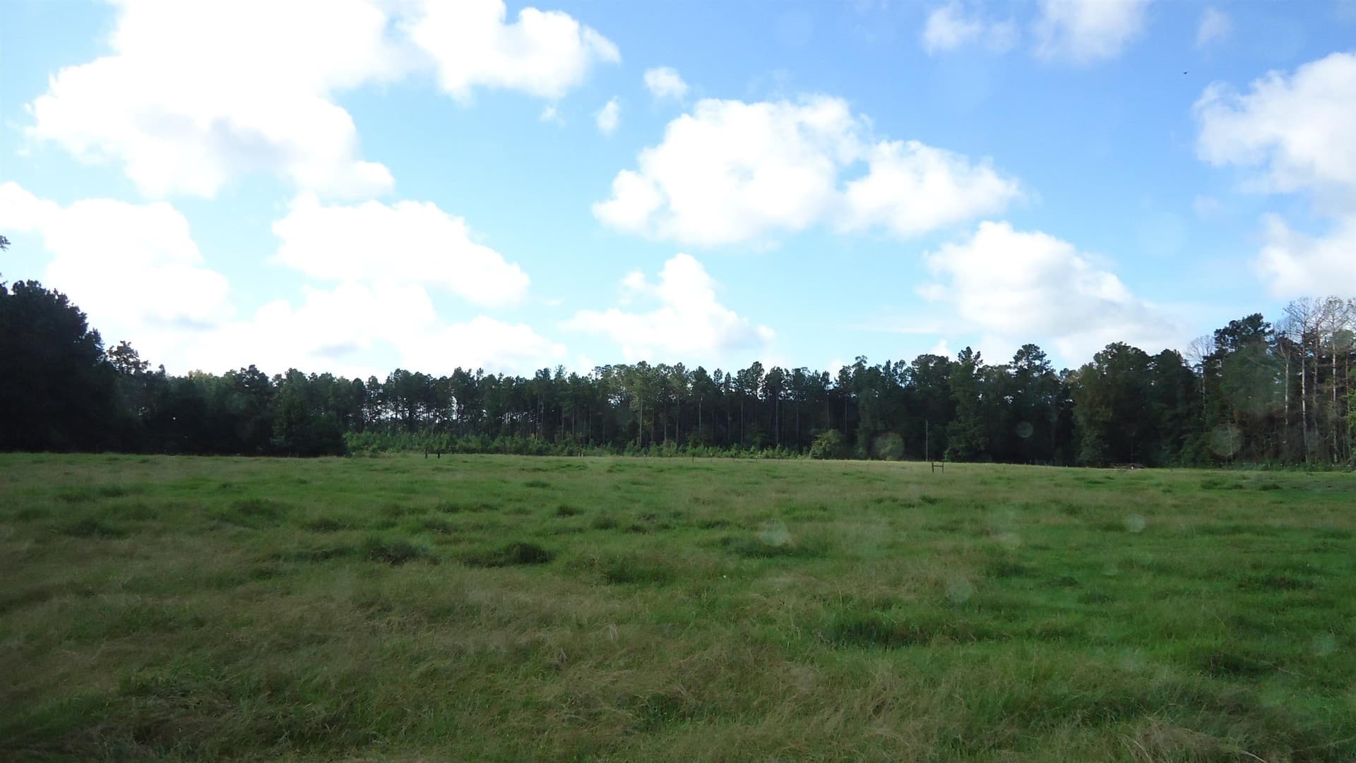 18 acres in Texas County - photo 8