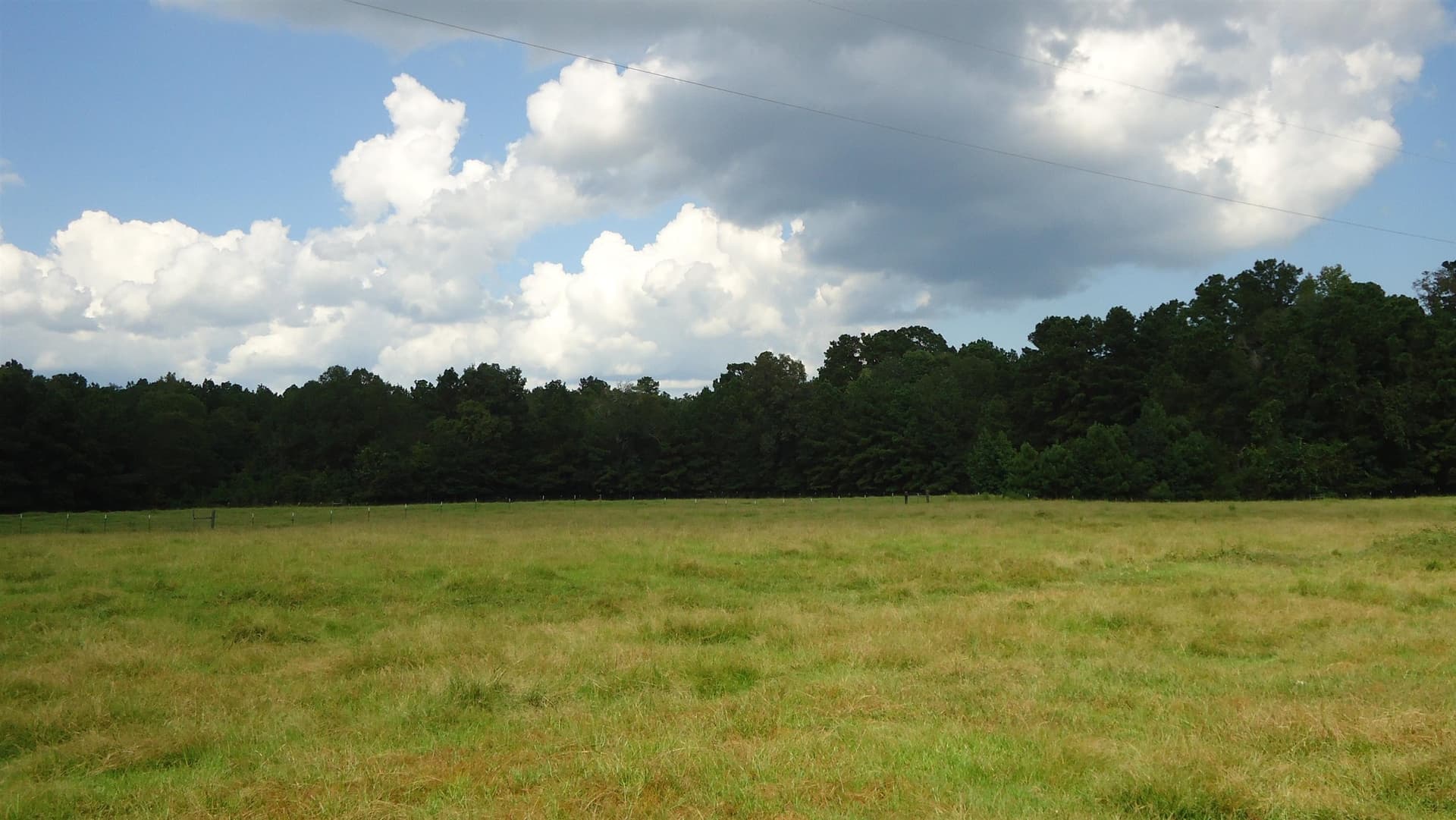 18 acres in Texas County - photo 17