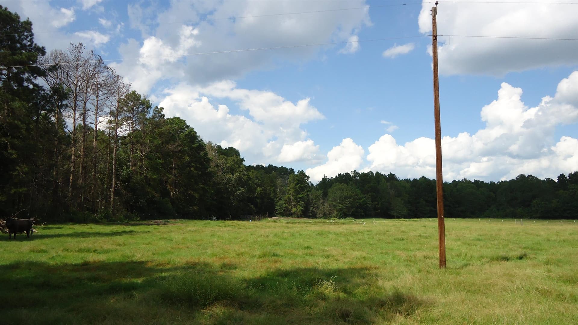 18 acres in Texas County - photo 14