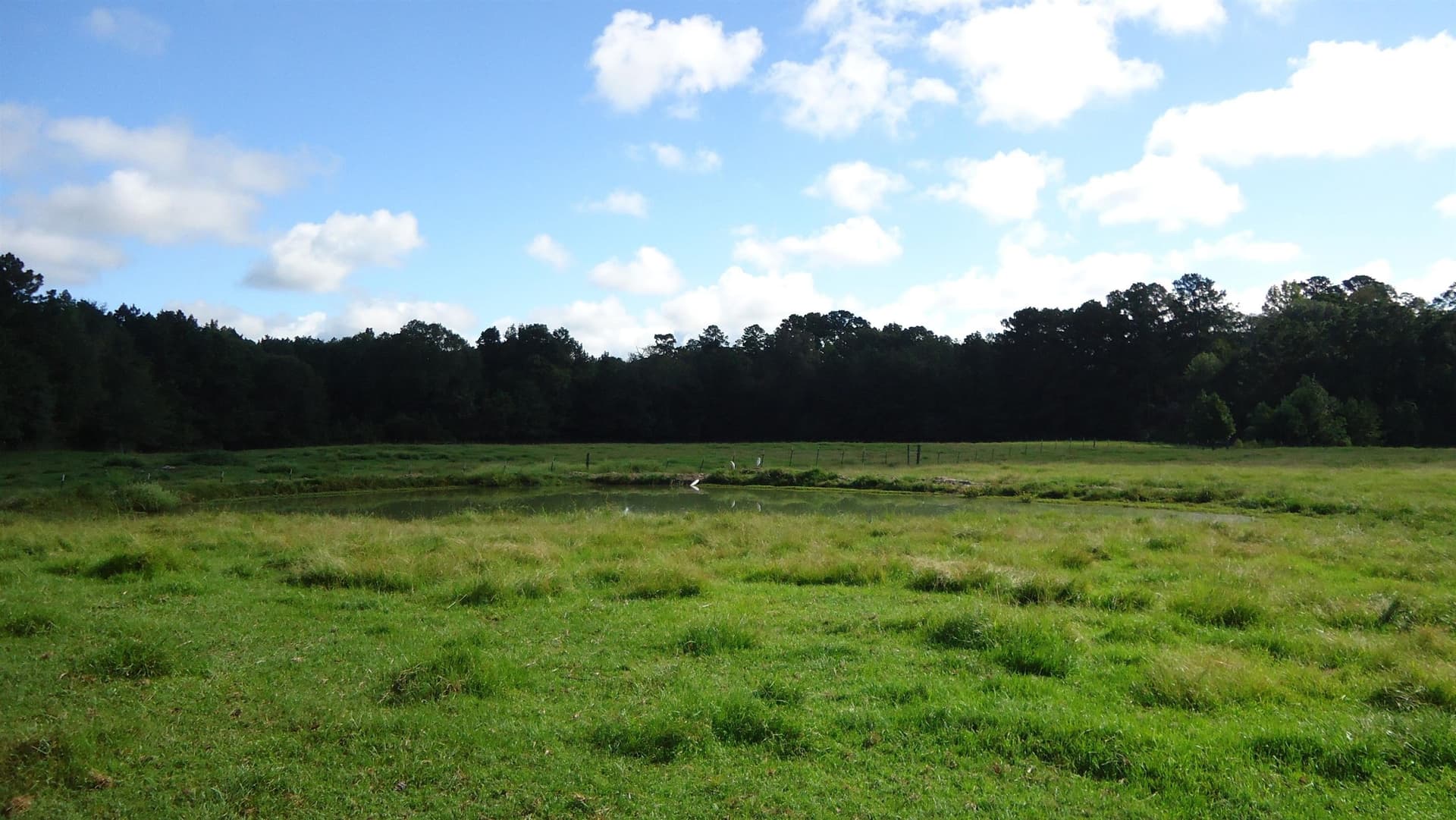 18 acres in Texas County featured view