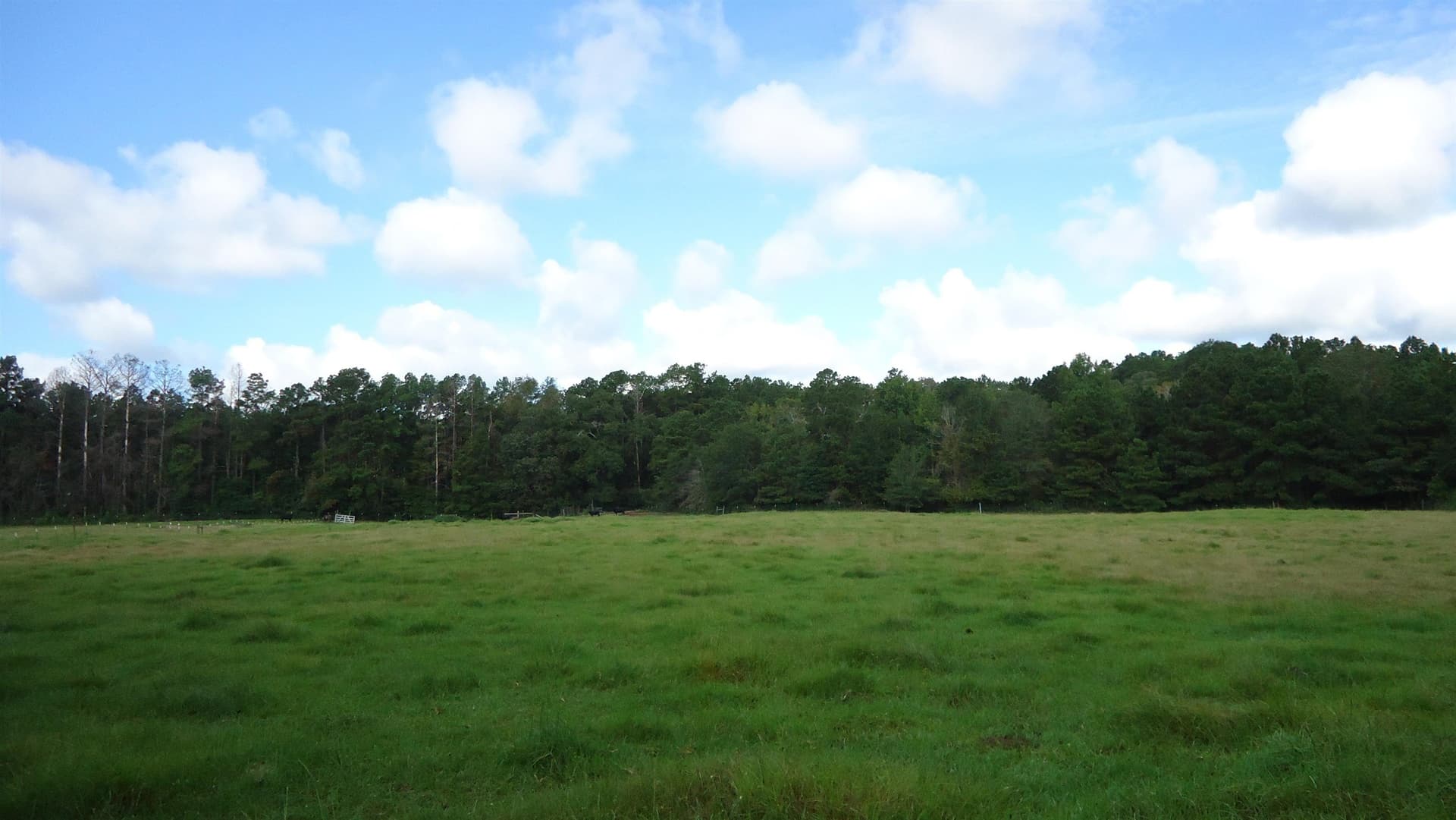 18 acres in Texas County - photo 13