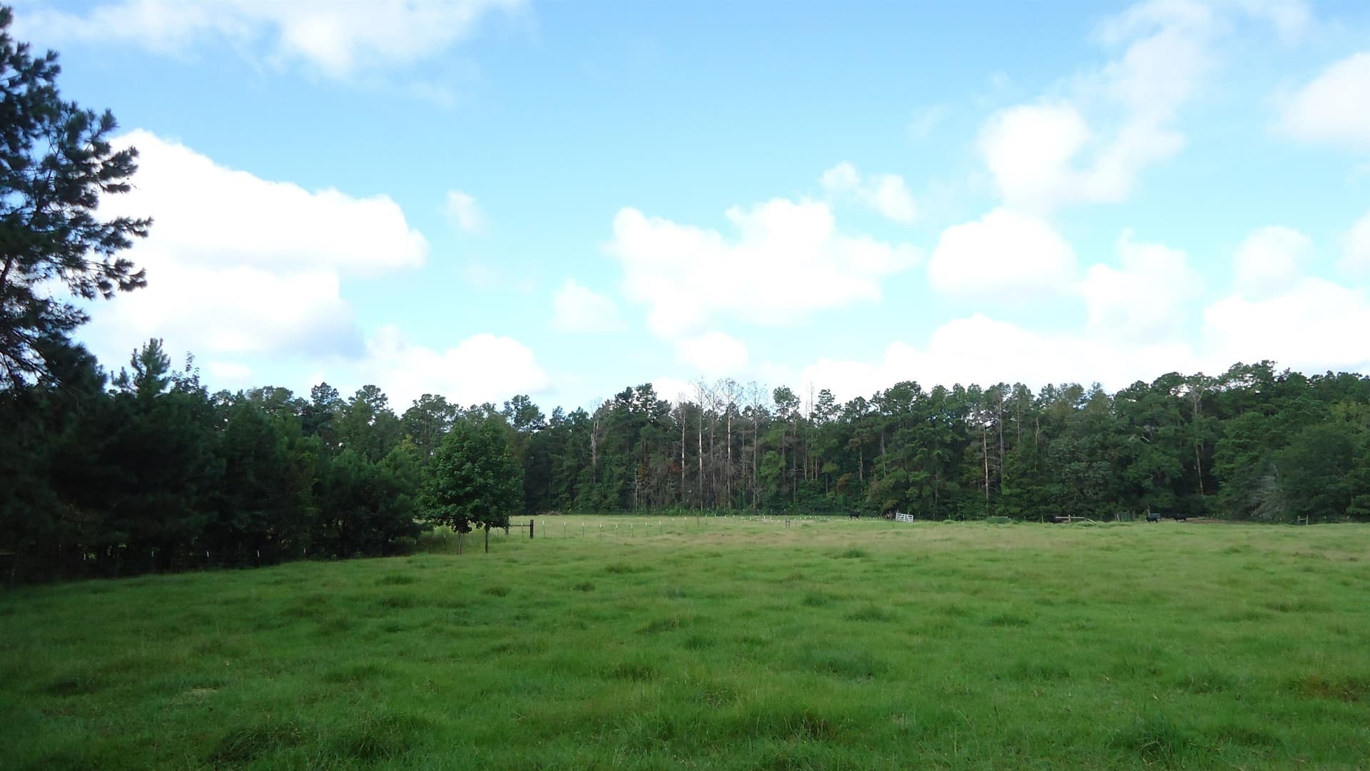 18 acres in Texas County - photo 11