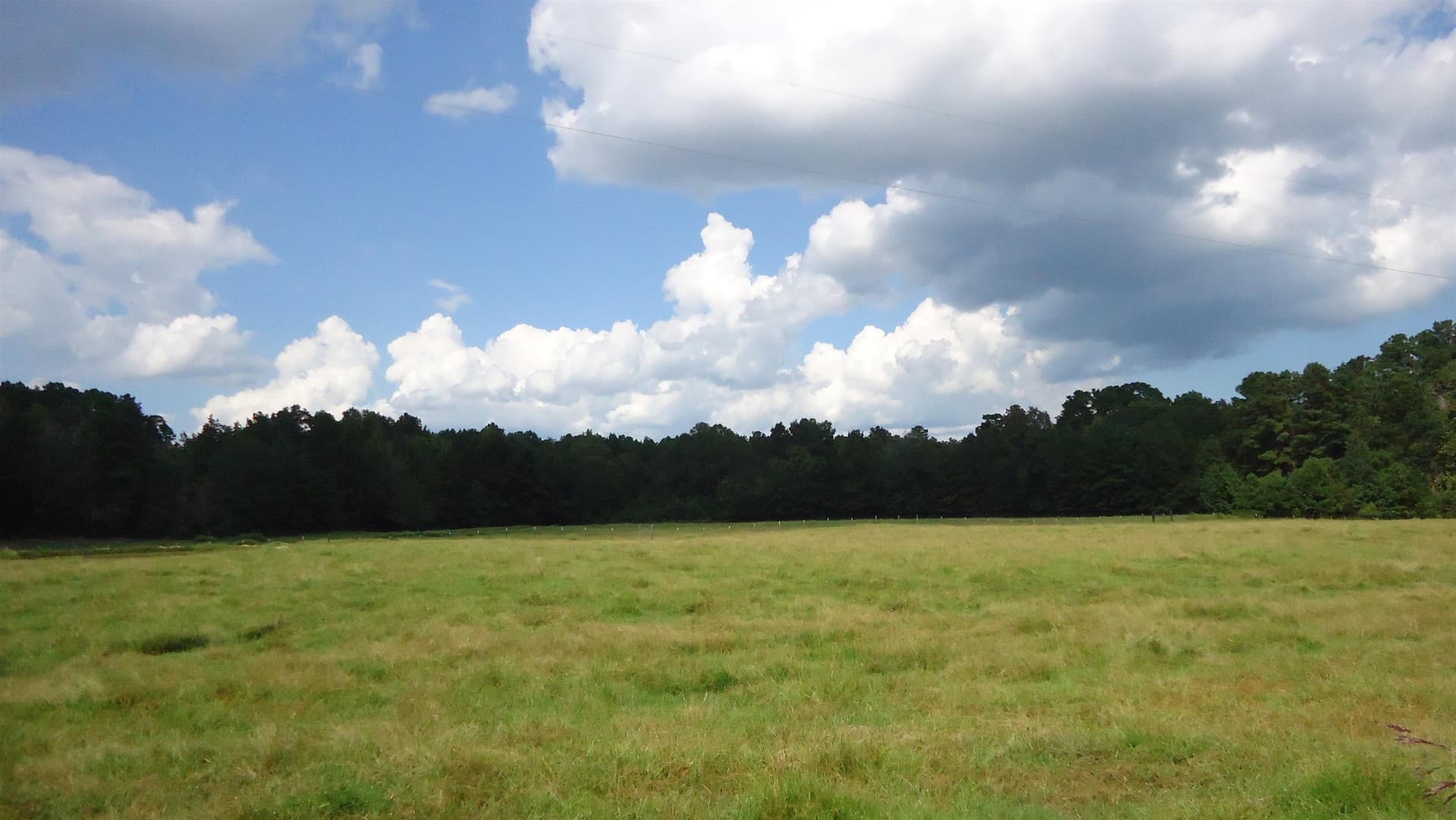 18 acres in Texas County - photo 15