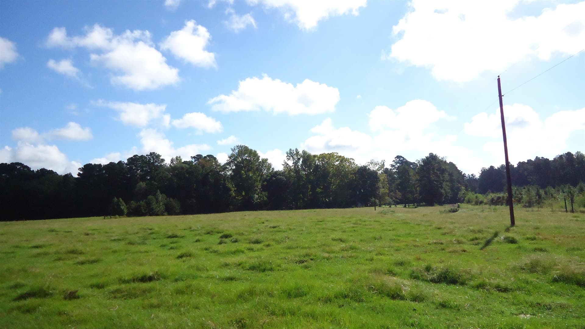 18 acres in Texas County gallery image 3