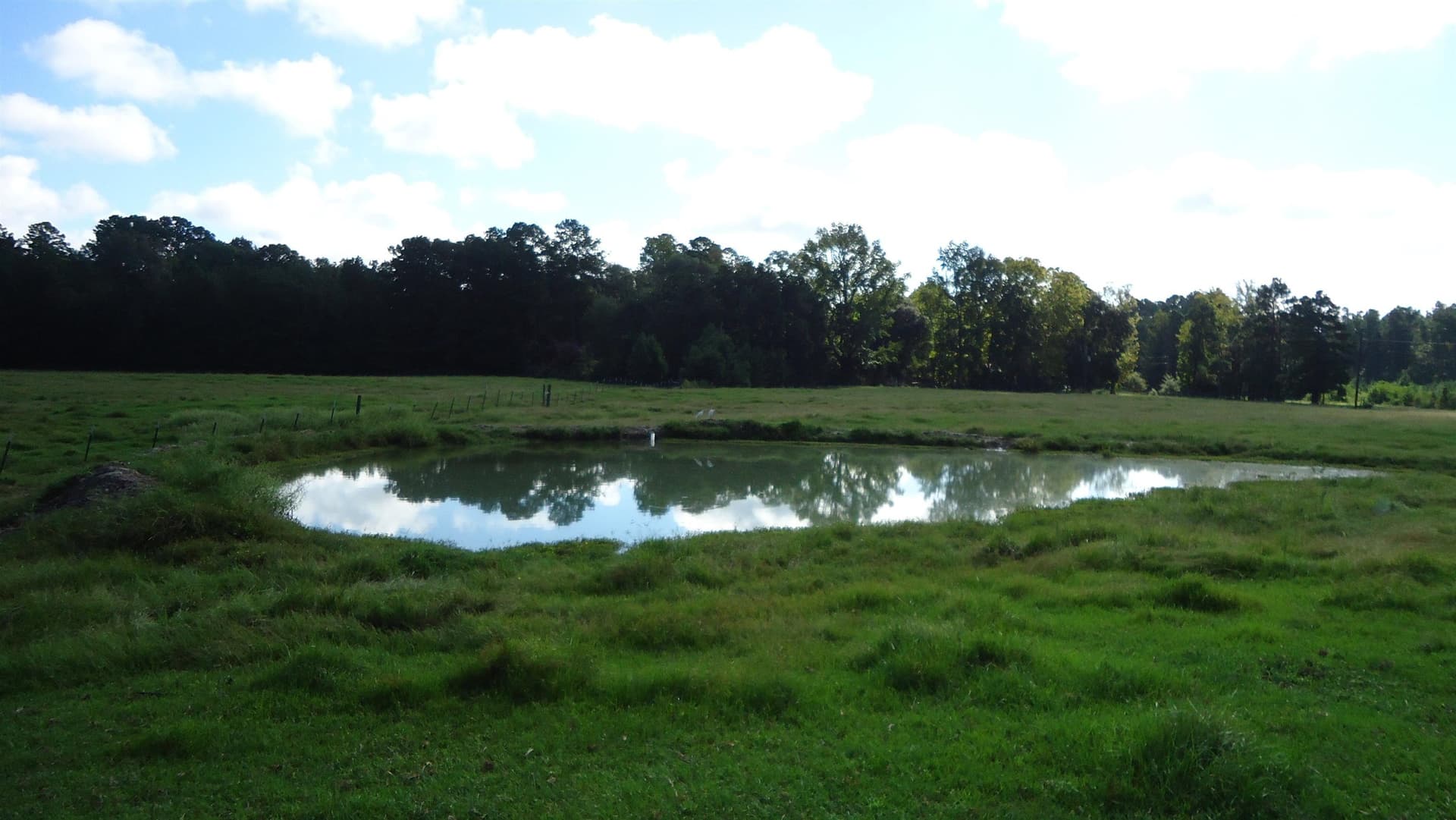 18 acres in Texas County - photo 6