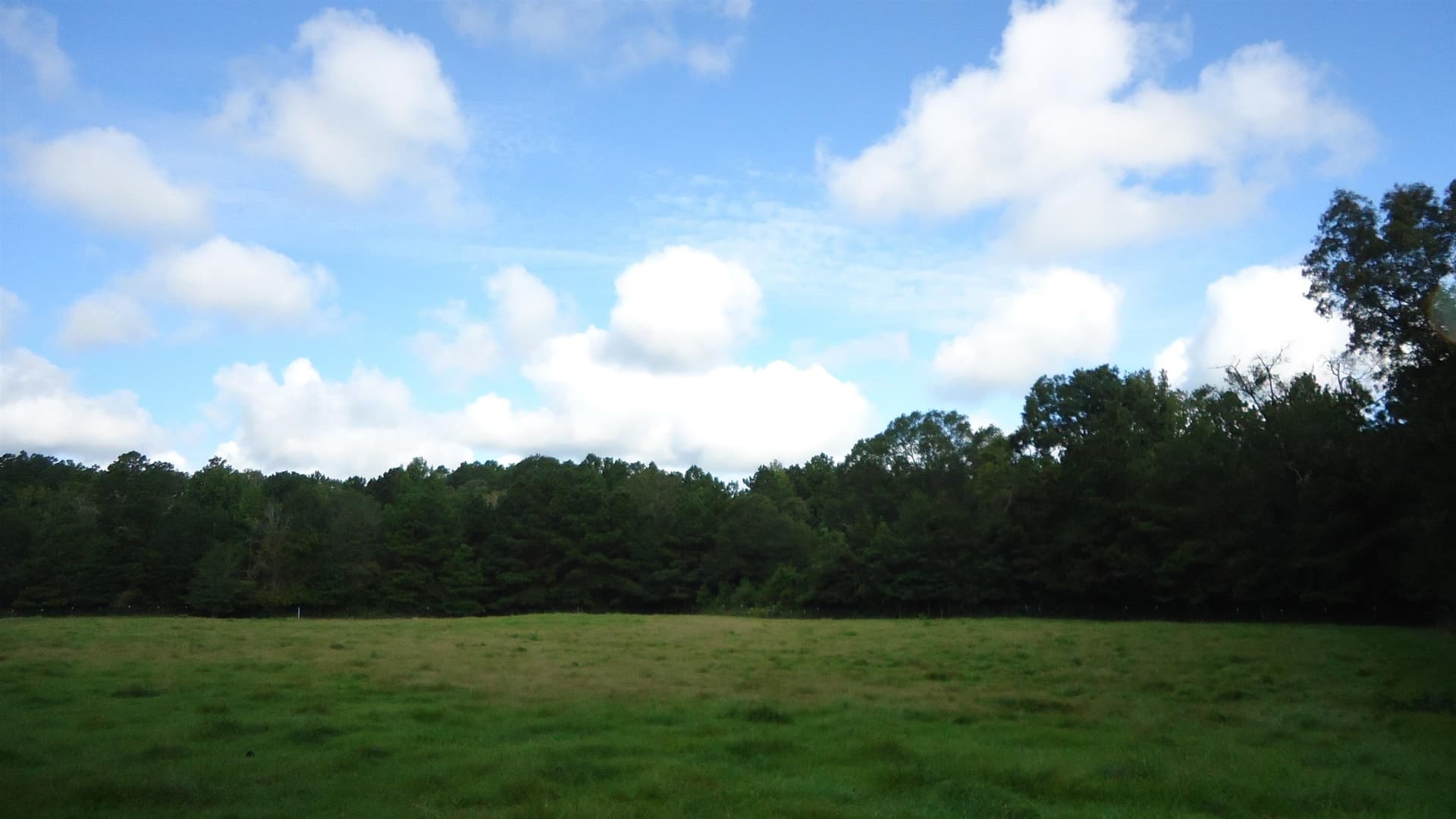 18 acres in Texas County - photo 12