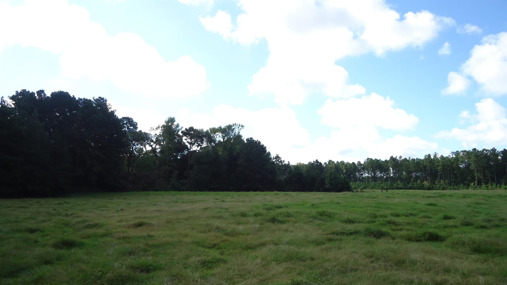 18 acres in Texas County - photo 9