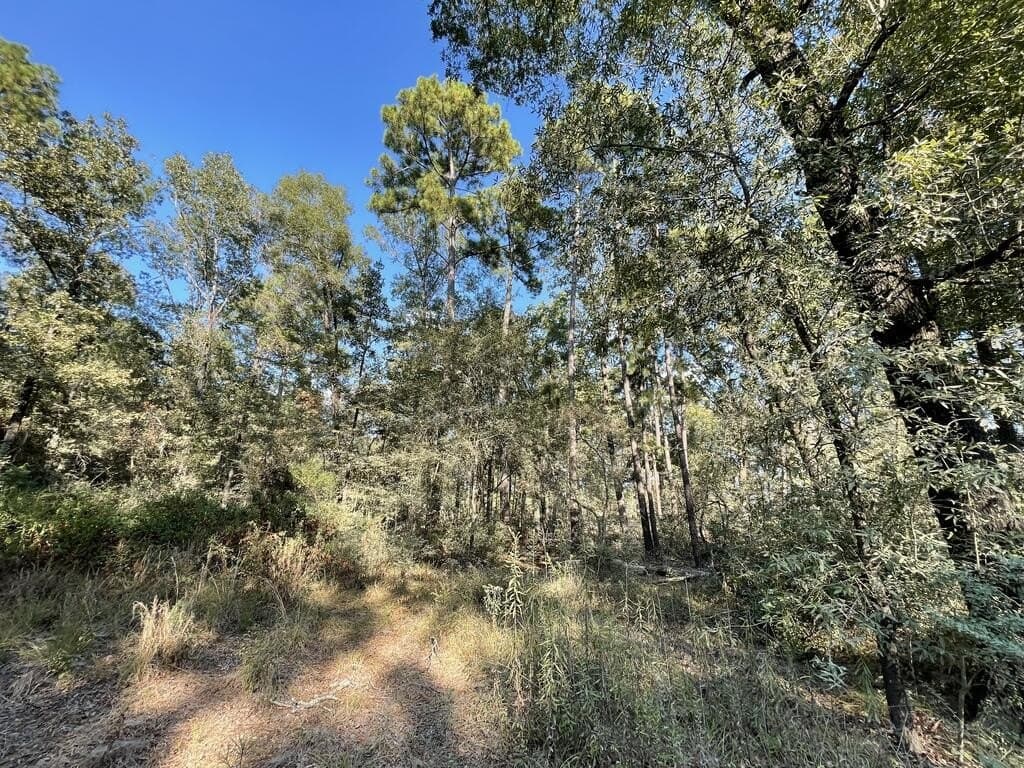 0.21 acres in Texas County - photo 4