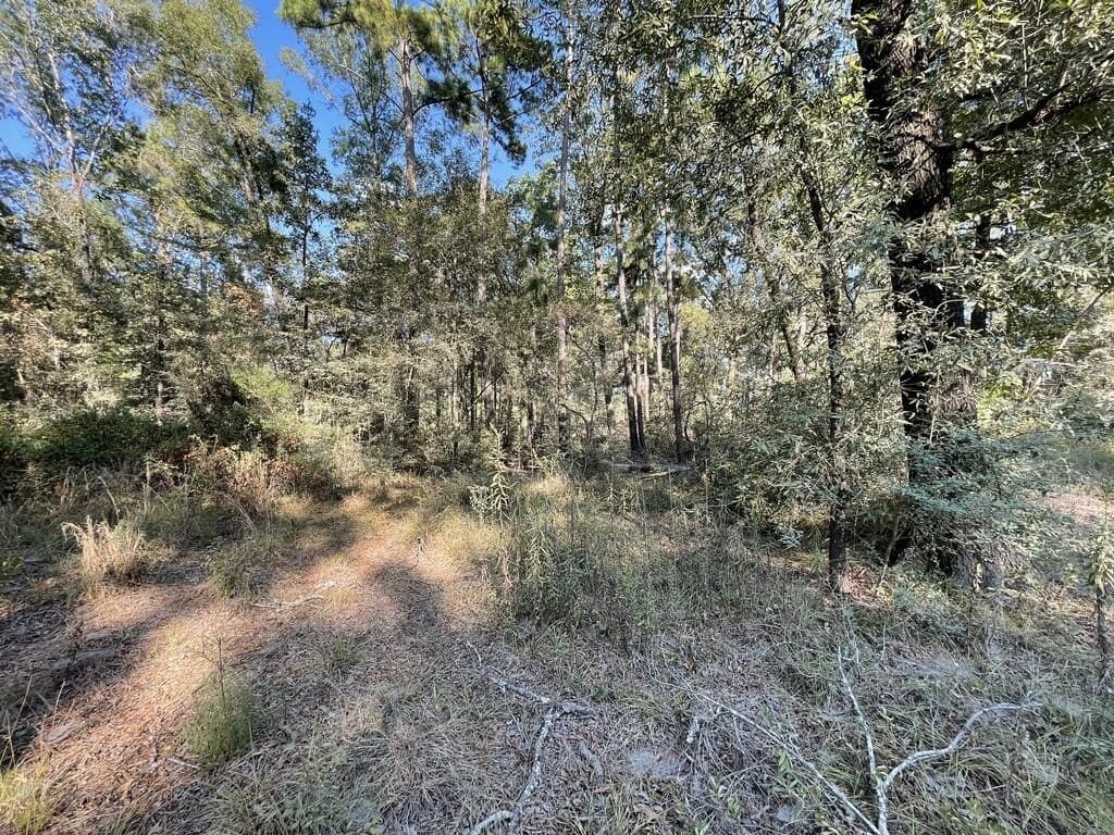 0.21 acres in Texas County - photo 3