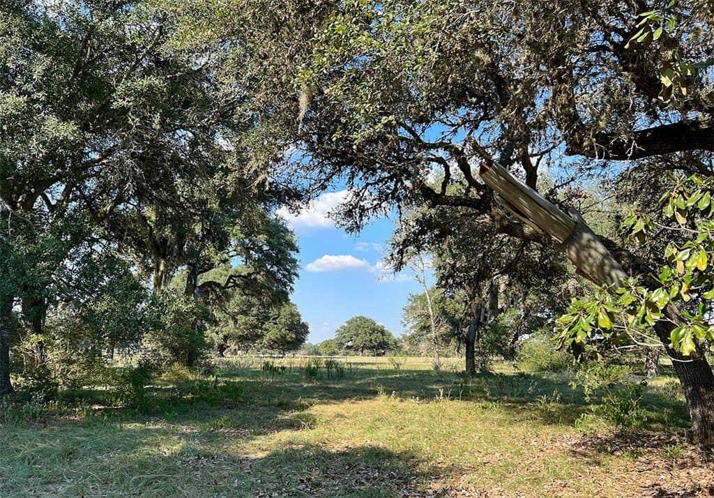 20 acres in Colorado County featured view