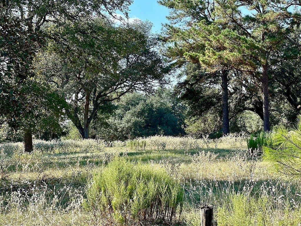 20 acres in Colorado County