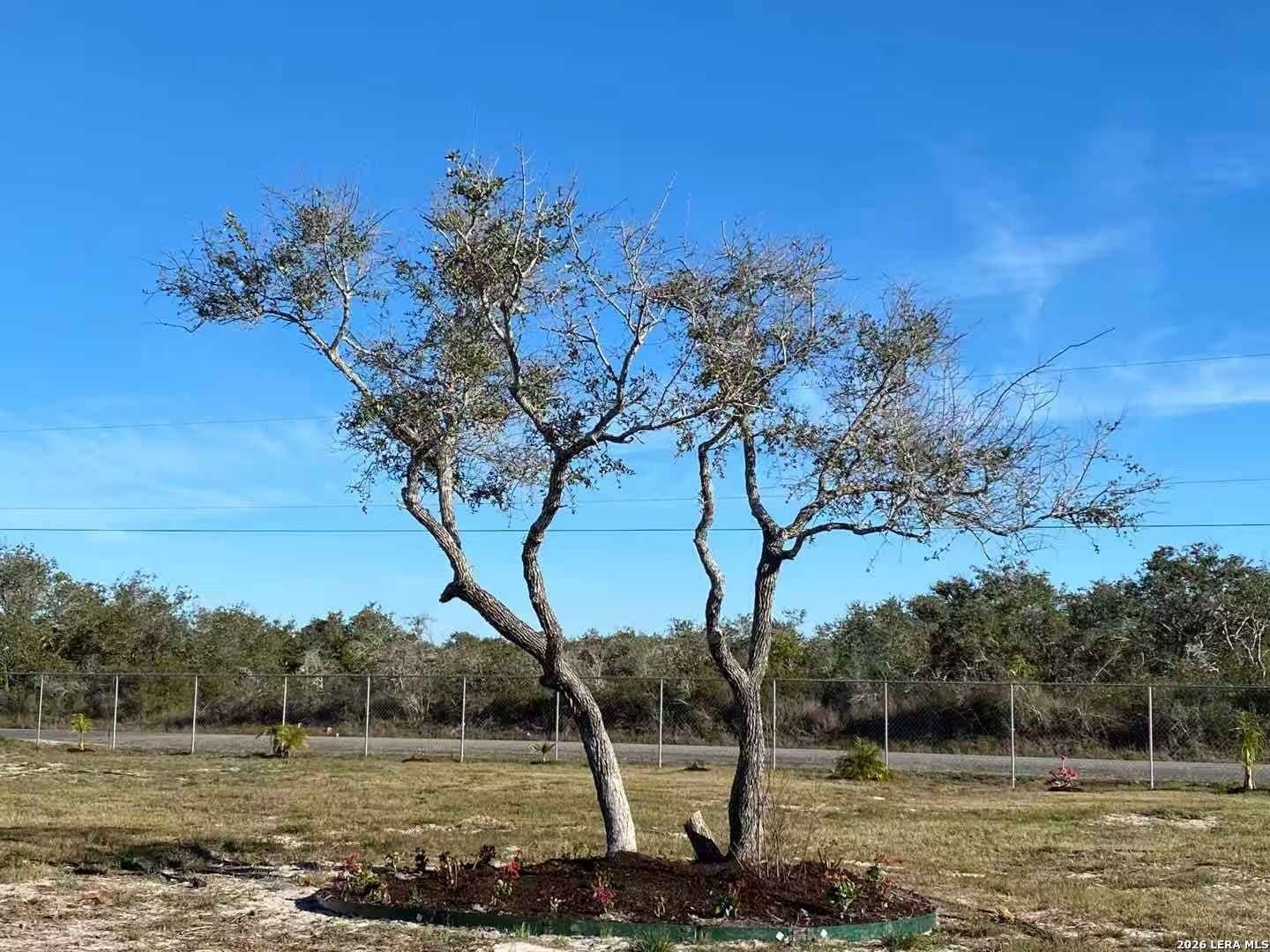 12 acres in Aransas County - photo 8