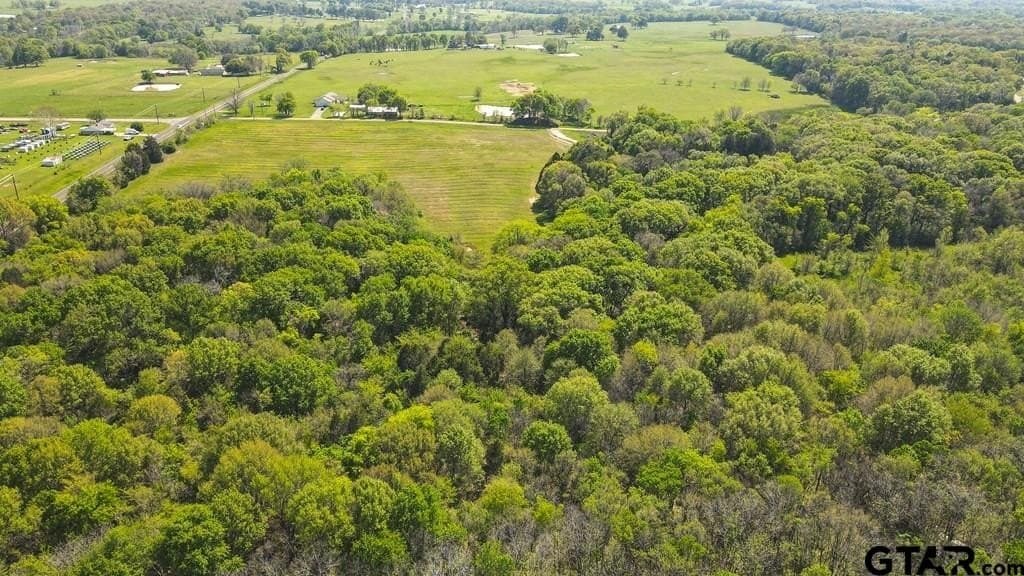 56.08 acres in Van Zandt County - photo 12