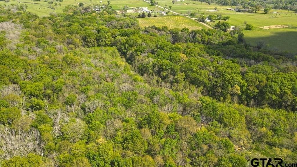 56.08 acres in Van Zandt County - photo 17