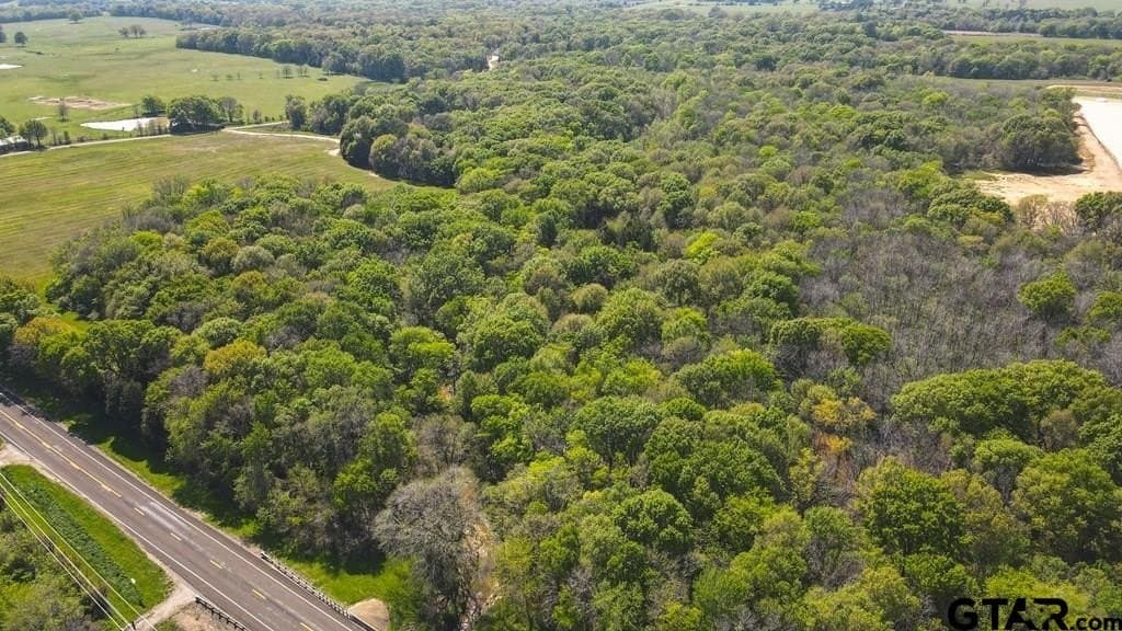 56.08 acres in Van Zandt County - photo 11