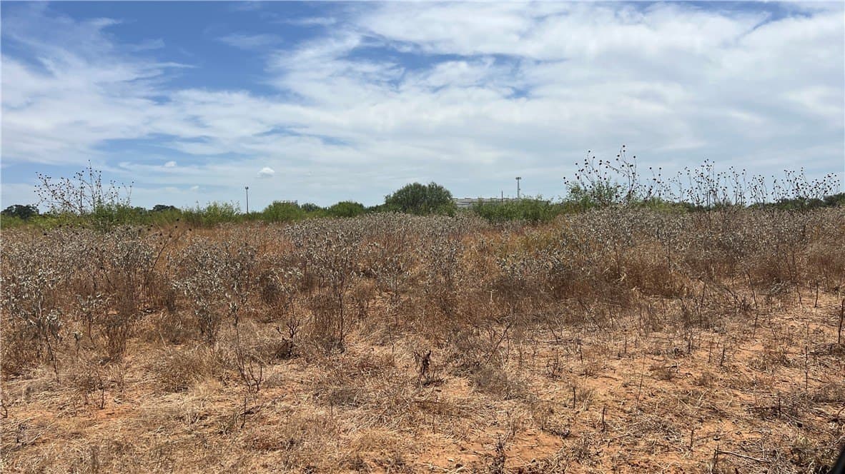 20 acres in Atascosa County - photo 7