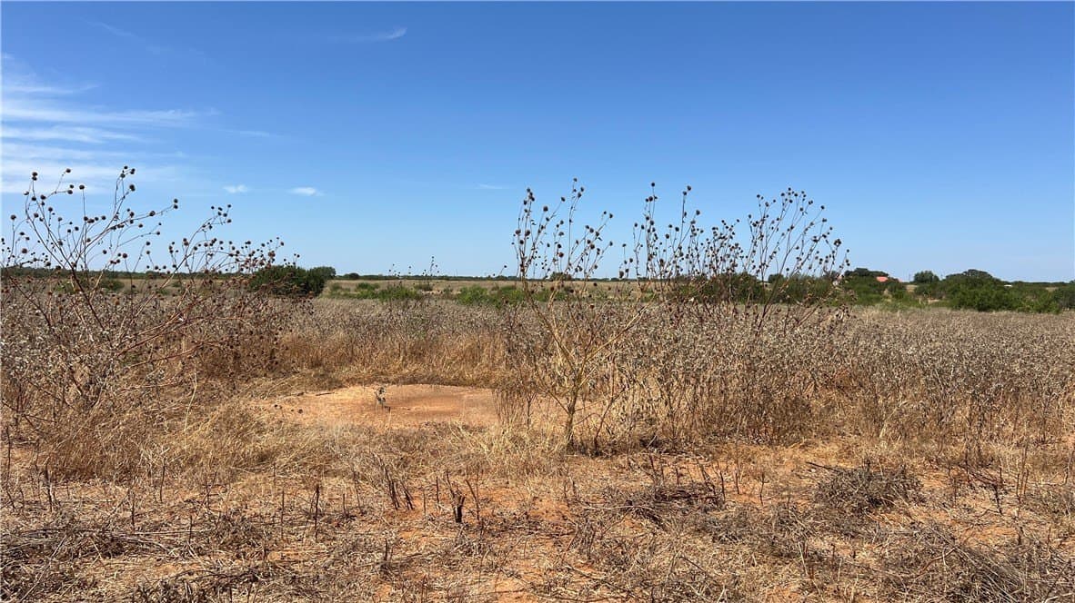 20 acres in Atascosa County - photo 2