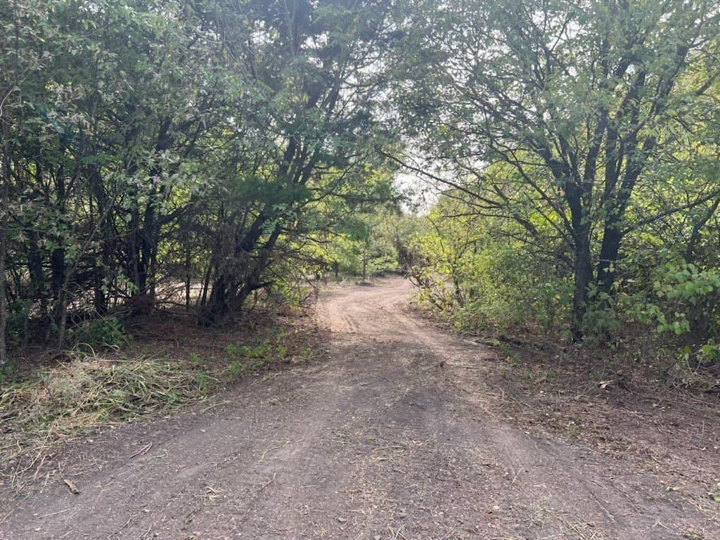 5.58 acres in Dallas County - photo 9