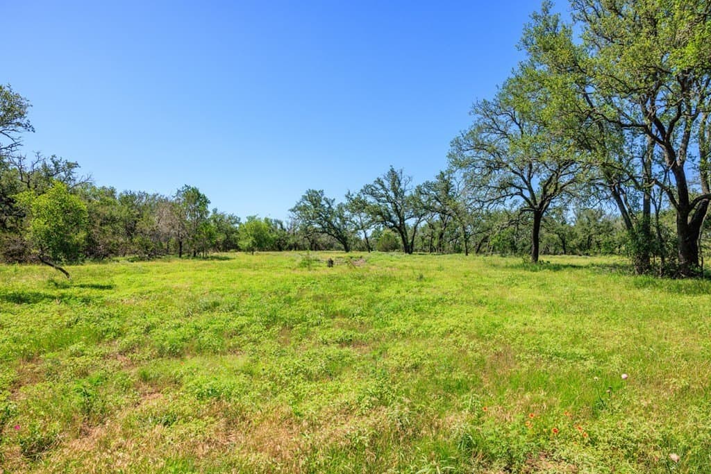113.96 acres in Blanco County - photo 46
