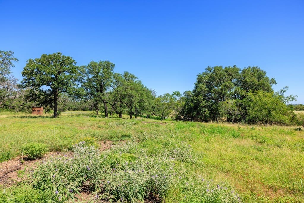 113.96 acres in Blanco County - photo 47