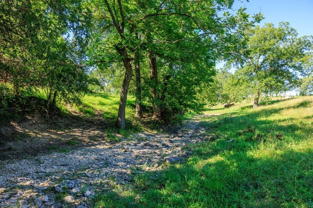 113.96 acres in Blanco County - photo 20