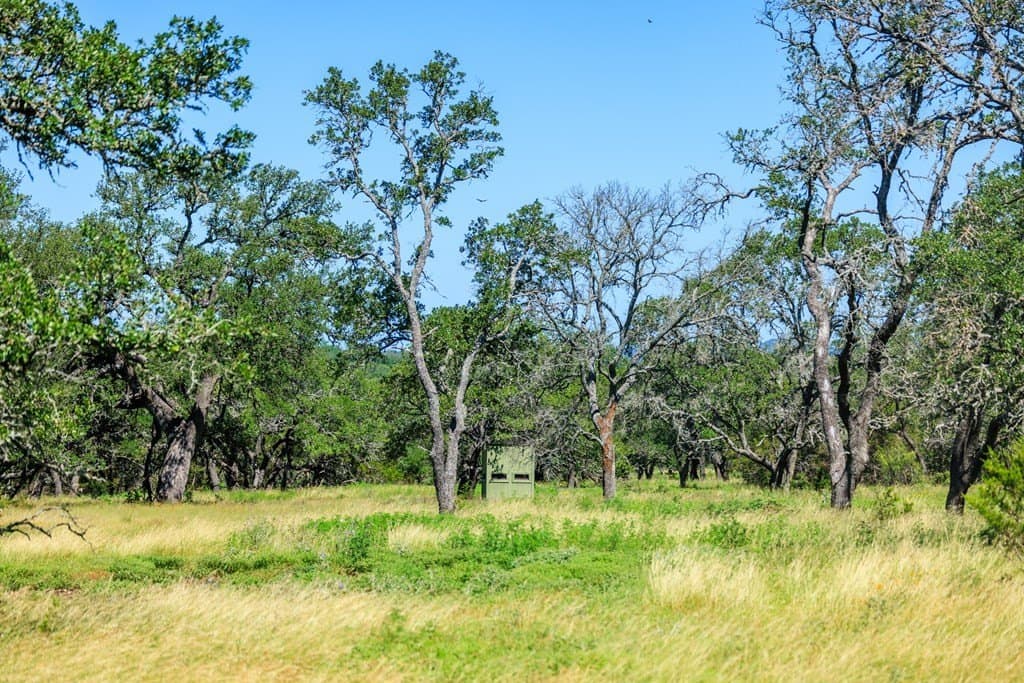 113.96 acres in Blanco County - photo 55