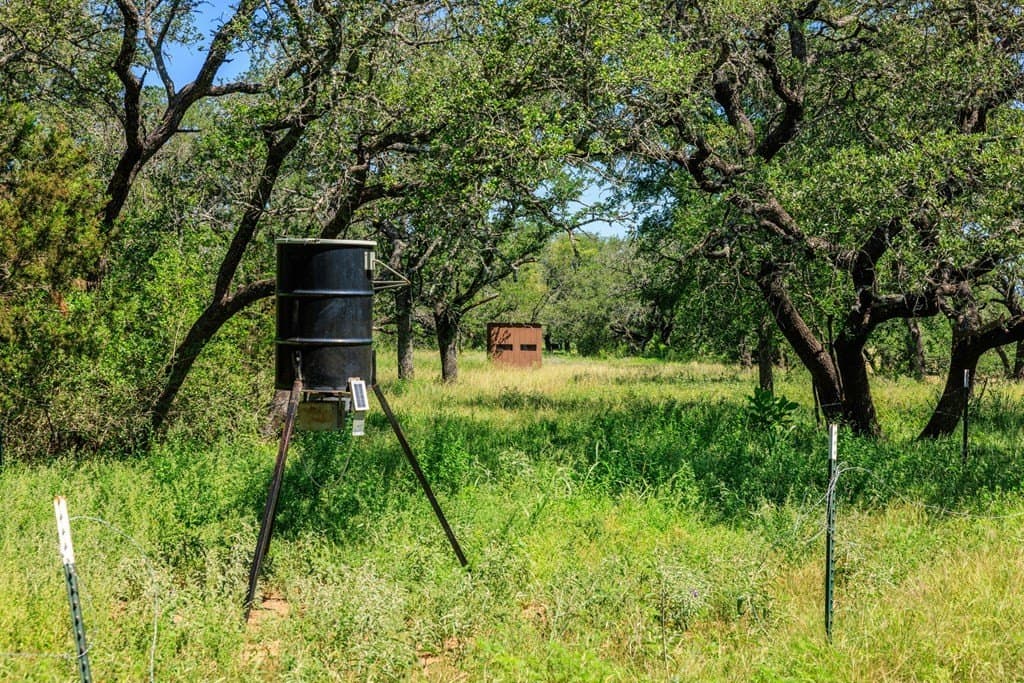 113.96 acres in Blanco County - photo 45