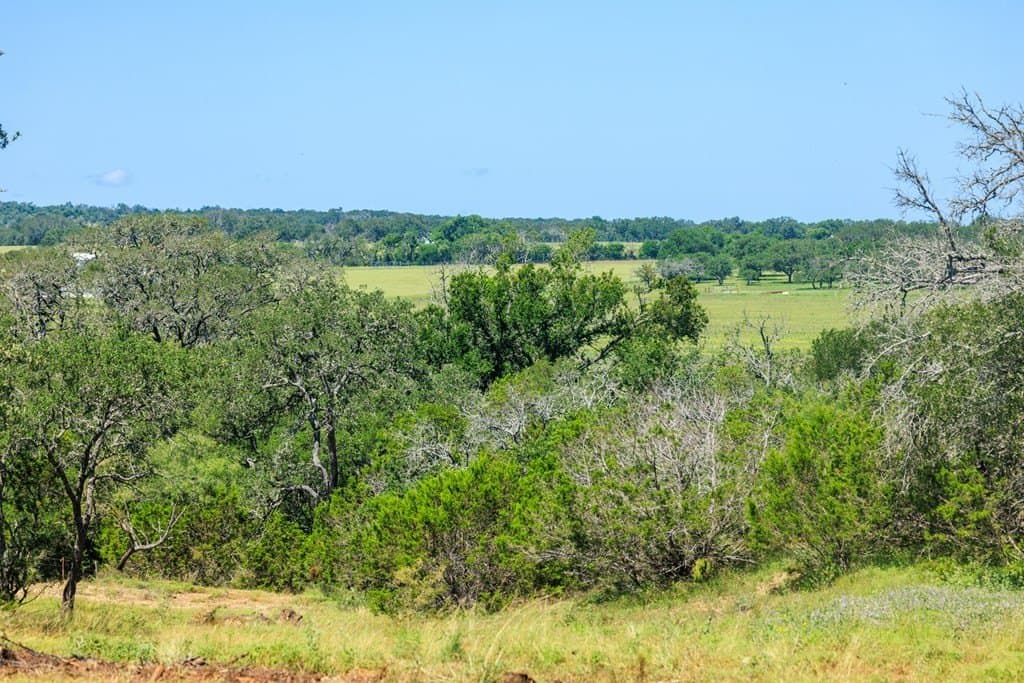 113.96 acres in Blanco County - photo 56