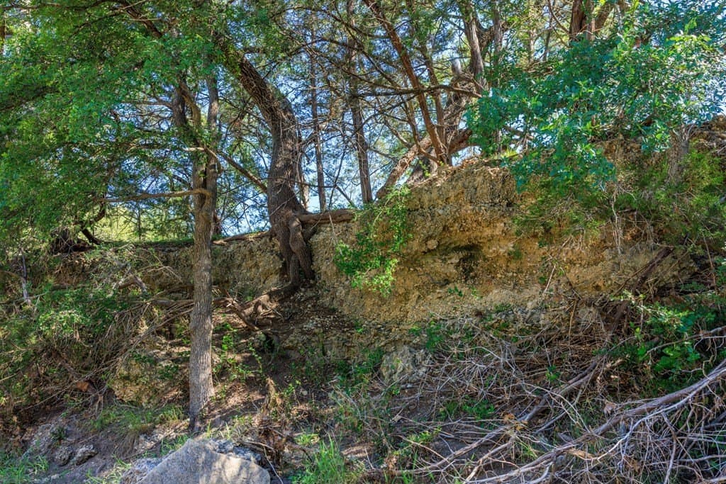113.96 acres in Blanco County - photo 34
