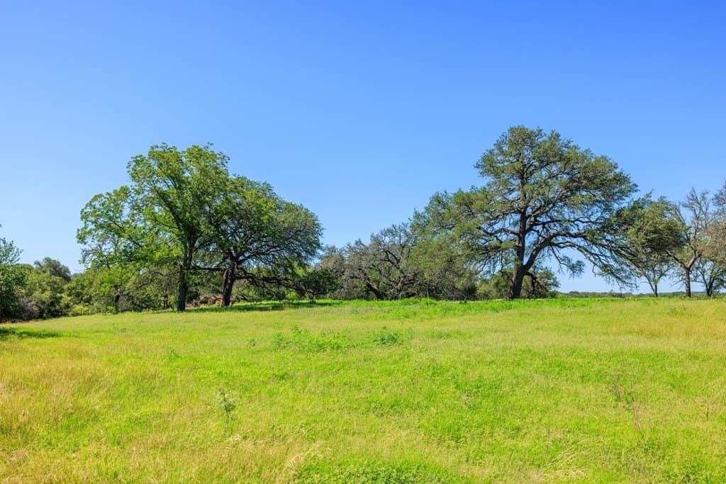 113.96 acres in Blanco County - photo 39