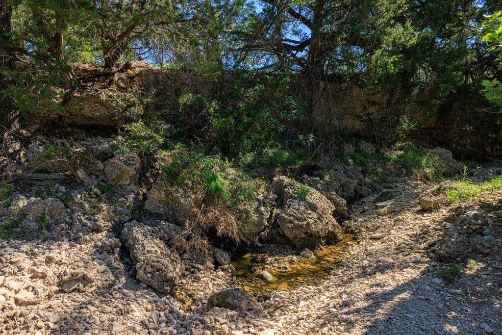 113.96 acres in Blanco County - photo 38