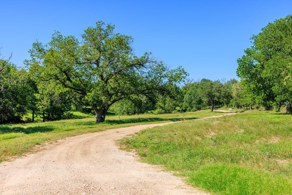113.96 acres in Blanco County - photo 16