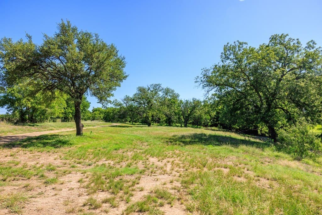 113.96 acres in Blanco County - photo 23
