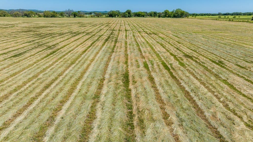 113.96 acres in Blanco County - photo 9