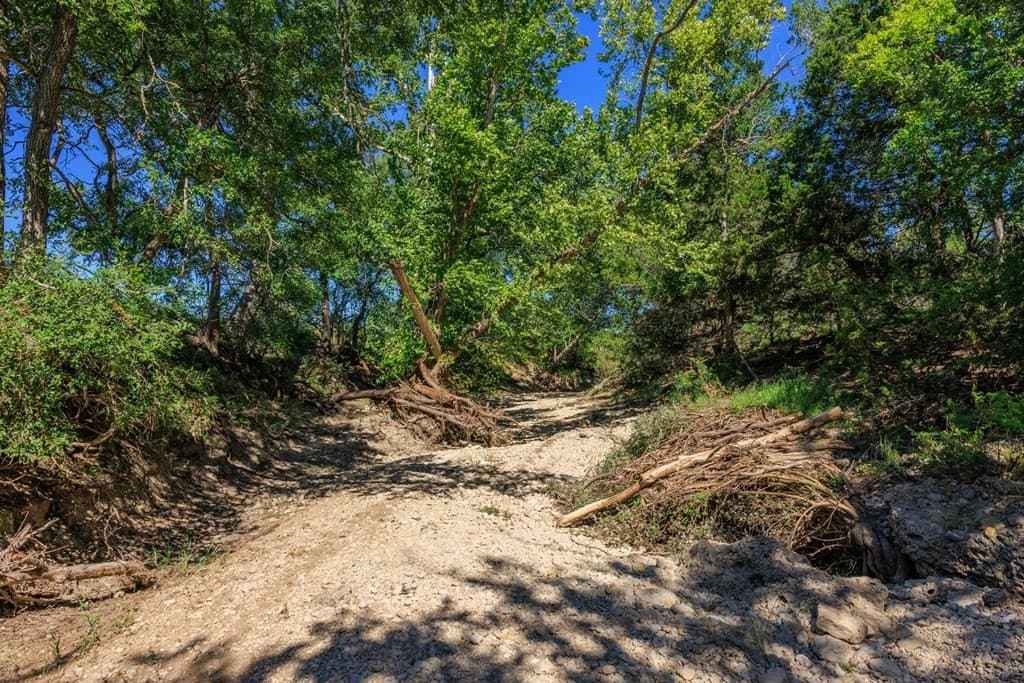 113.96 acres in Blanco County - photo 37