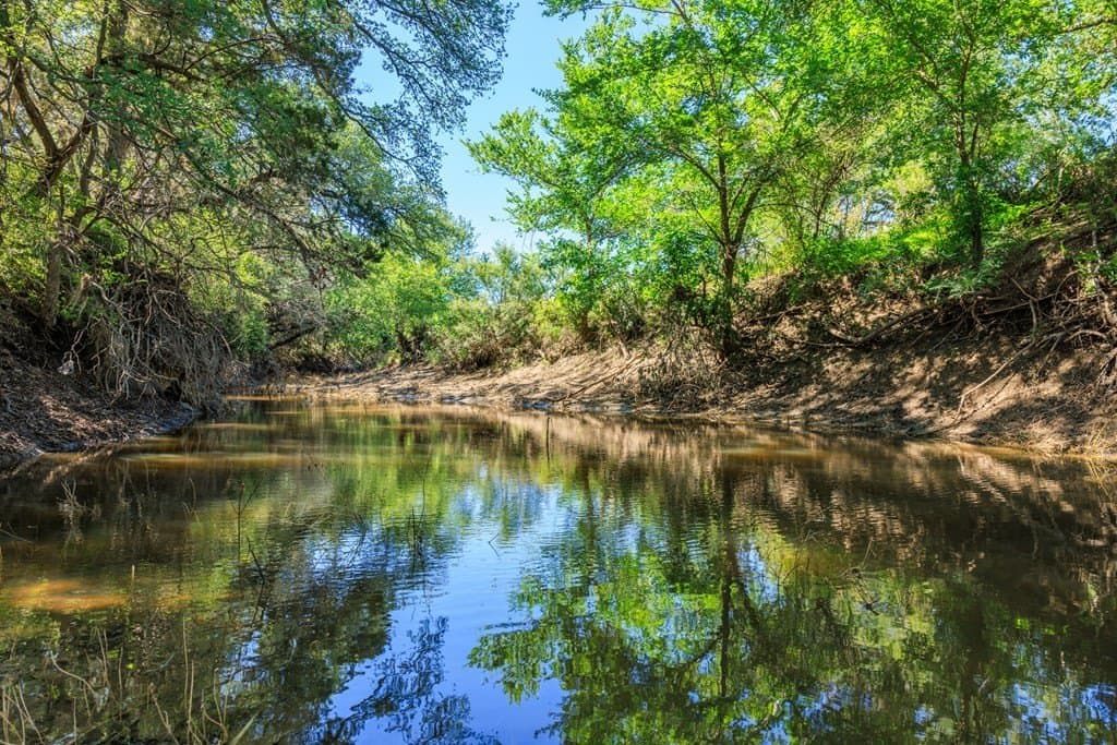 113.96 acres in Blanco County - photo 29