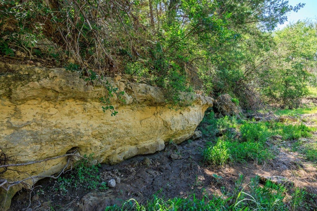 113.96 acres in Blanco County - photo 32