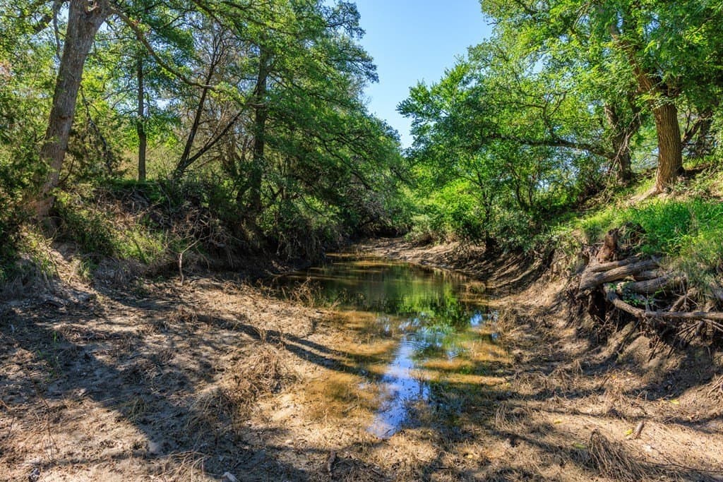113.96 acres in Blanco County - photo 28