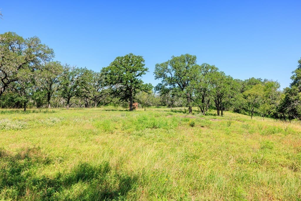 113.96 acres in Blanco County - photo 51