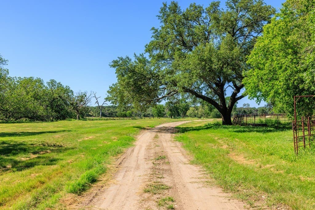 113.96 acres in Blanco County - photo 25