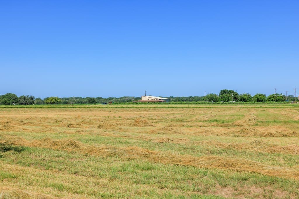 113.96 acres in Blanco County - photo 19