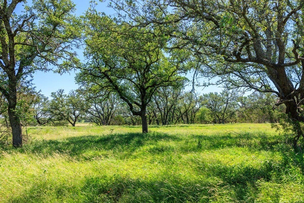 113.96 acres in Blanco County - photo 44