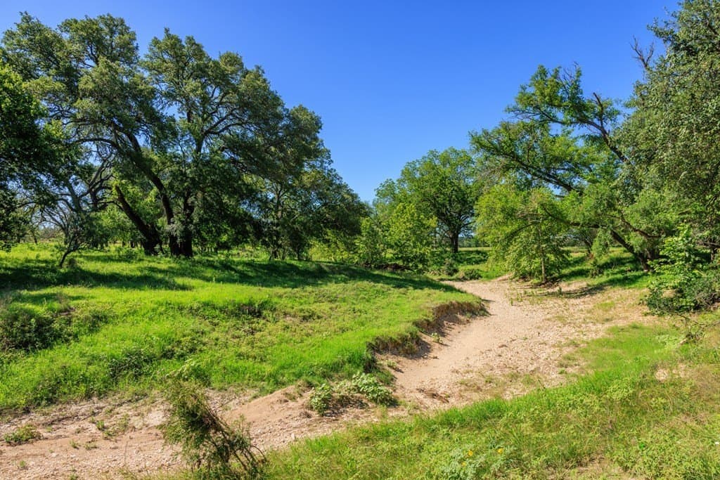113.96 acres in Blanco County - photo 24