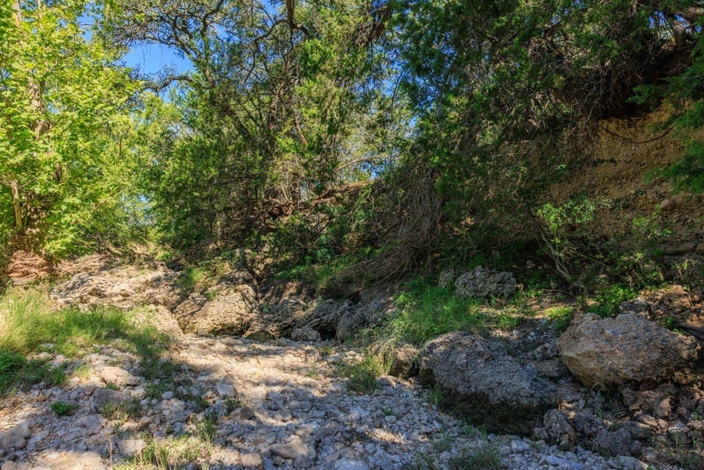113.96 acres in Blanco County - photo 35