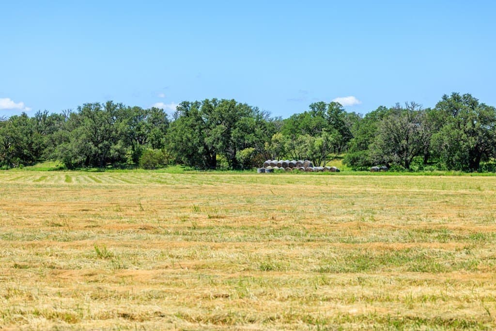 113.96 acres in Blanco County - photo 58