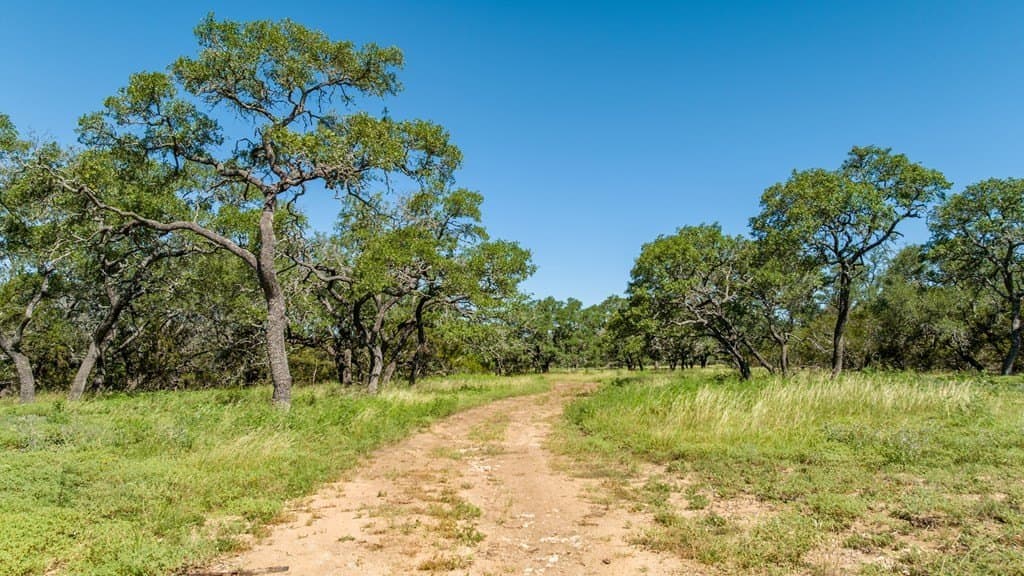 113.96 acres in Blanco County - photo 17