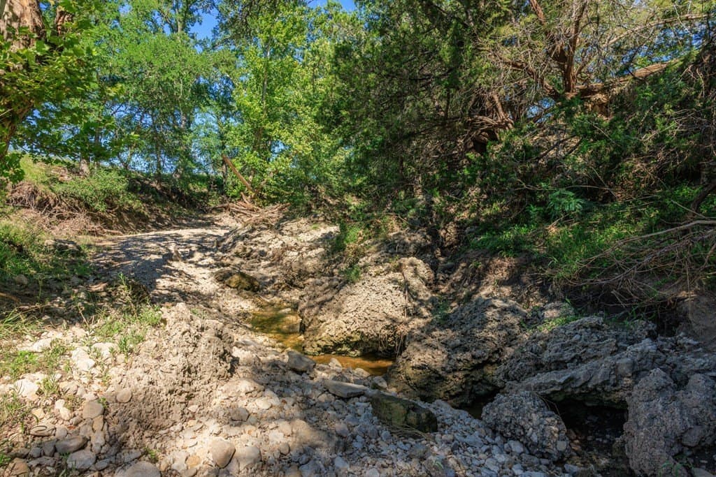 113.96 acres in Blanco County - photo 36
