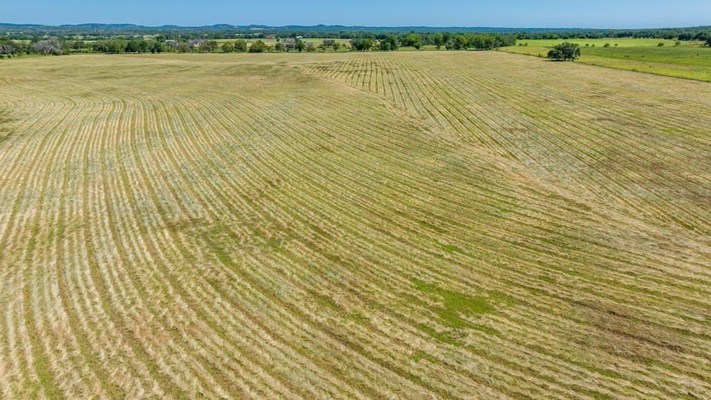 113.96 acres in Blanco County - photo 8